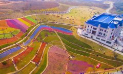 在新余可以参加自考本科吗，一年能报几次