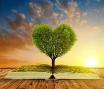 南昌自考新旧计划（或新旧课程）是怎样衔接（或对接）的