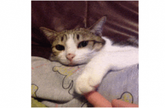 南昌自考人的这些备考通病，你有多少？