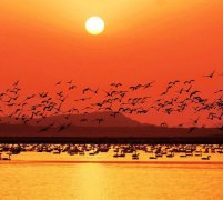 南昌市新建区自考报名地址在哪里