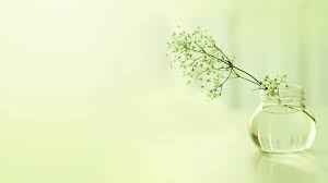 九江自考本科考研成功率大吗