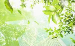 九江自考需要的要求和资格是什么