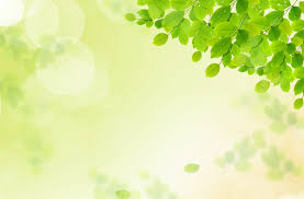 赣州自考和专升本有什么区别