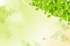 赣州自考和专升本有什么区别