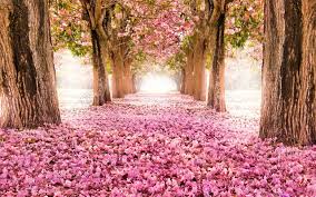 赣州自考本科容易找工作吗? 赣州自考本科容易找工作吗?