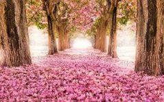 赣州自考本科容易找工作吗？