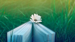 赣州自考本科生可以继续考研吗?