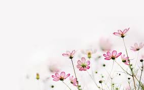 赣州自考本科考研成功率大吗