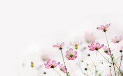 赣州自考本科考研成功率大吗