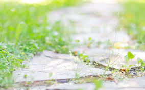 赣州自考报考公务员有限制吗