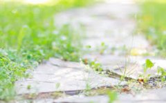 赣州自考报考公务员有限制吗