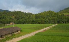 抚州2019年下半年自考准考证打印时间及事项