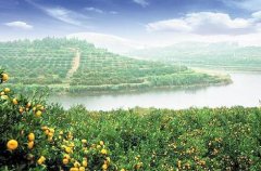 抚州市南丰县自考报名地址在哪里