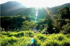 抚州市崇仁县自考报名地址在哪里