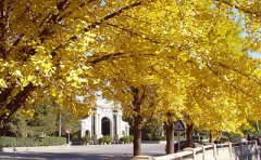 2019年10月份萍乡自考《会计》专业考试课程安排