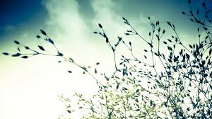 萍乡自考在社会上的认可度怎样