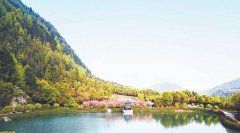 萍乡湘东区自考报名地址在哪里