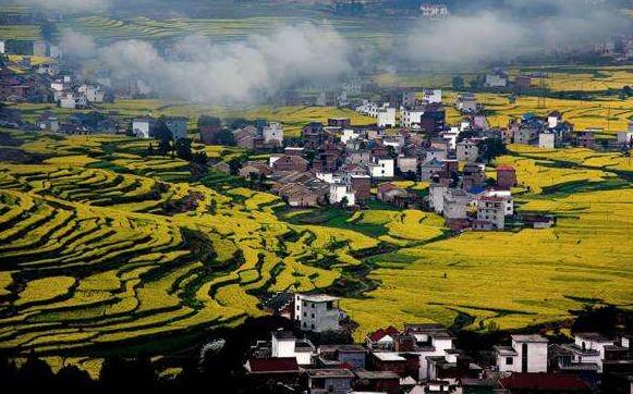 萍乡莲花县风景区