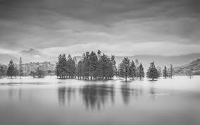 鹰潭自考本科对专科生有用吗