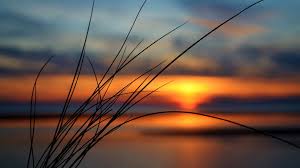 吉安自考本科没有学位证书对考研有影响吗