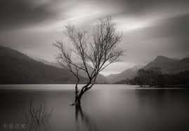 吉安自考本科和全日制自考本科有什么区别