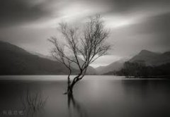 吉安自考本科和全日制自考本科有什么区别