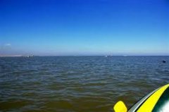 吉安自考真题都考过了还会再出吗