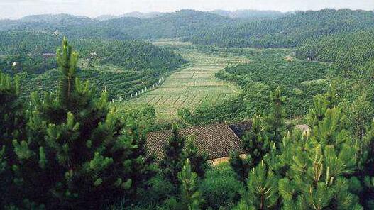 吉安市泰和县风景区