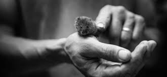 宜春自考在社会上的认可度怎样