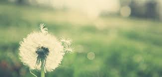 宜春自考真题都考过了还会再出么