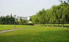 武汉大学自考前置学历查验事项安排