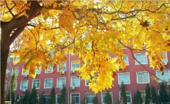 武汉工程学院2019年自考学位申报事项