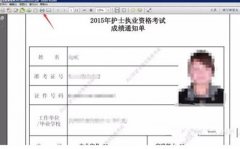 自学考试的成绩单能在网上打印吗