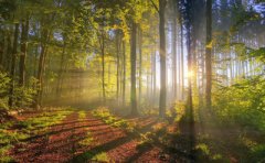 江西自考本科电力系统及自动化实践考试科目是什么?