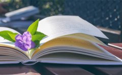 江西自学考试本科电力系统及其自动化实践考试科目是什么?