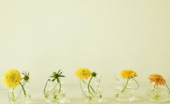 自考本科计算机信息管理实践考试科目是什么?