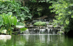 江西自考园林专业专科中实践考试科目是什么?