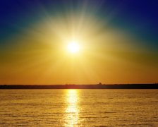 江西中英合作商务管理等专业报考条件