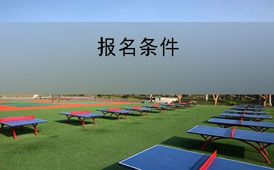 学院球桌 学院球桌