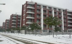 大学在校学生能报考自学考试吗?