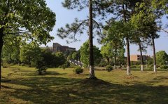 宜春学院2019年10月份自考报名条件