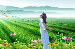 江西省2018年10月自学考试报考条件